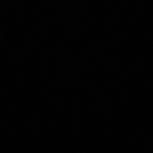 Meet your Posher, Whitney